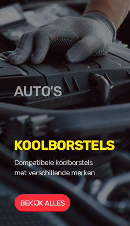 Koolborstels auto's 